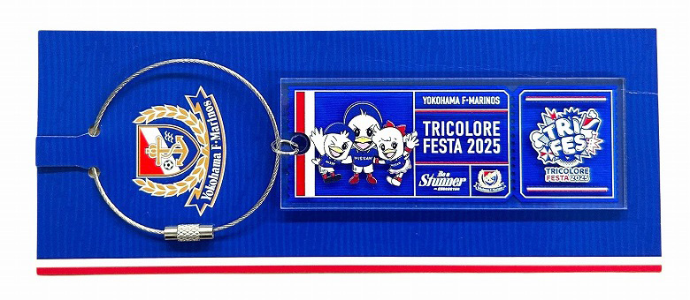 チケット風キーホルダー＜トリフェス2025＞